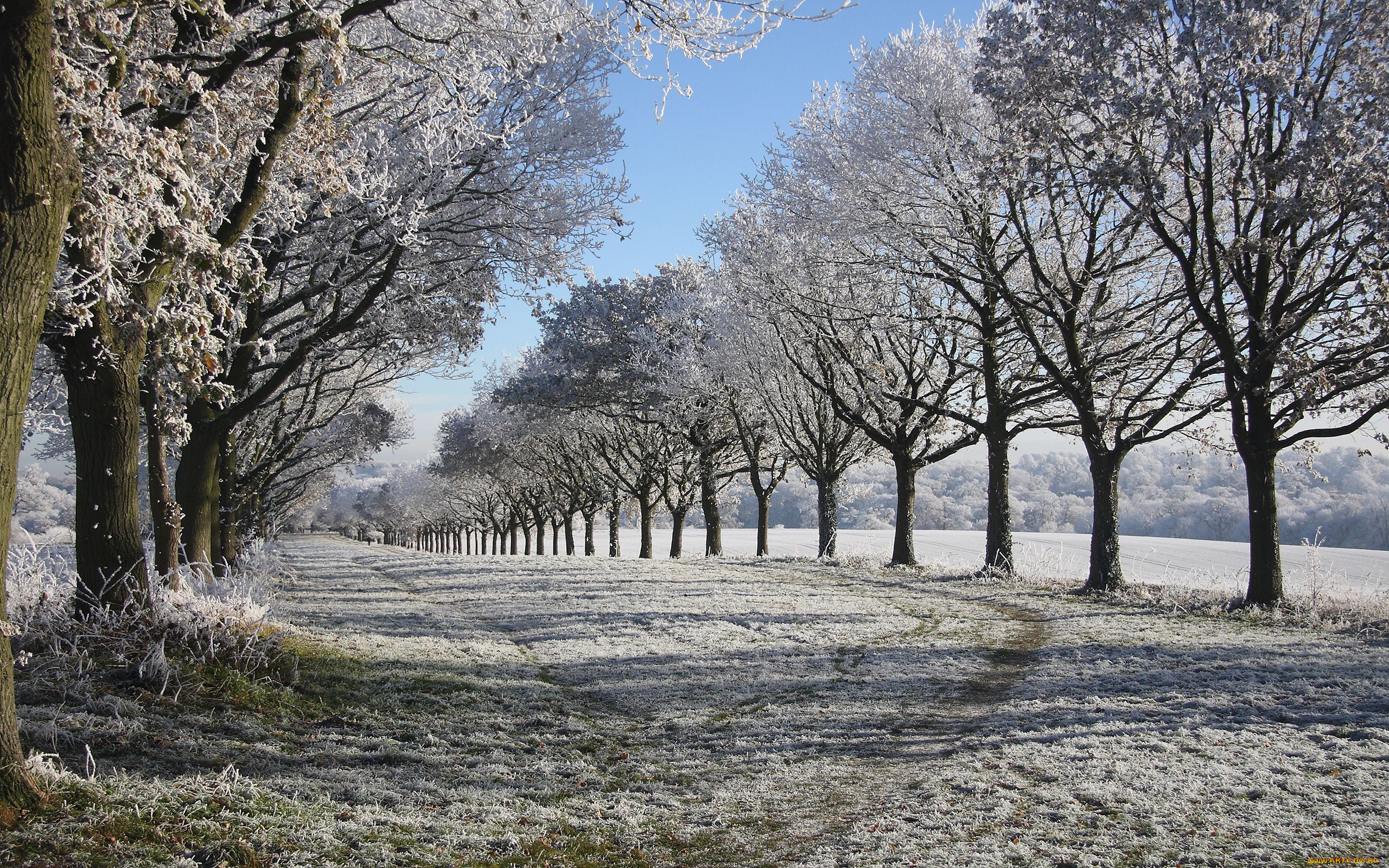 Самая поздняя зима. Парк Сноу Англия аллея. Ранняя зима.